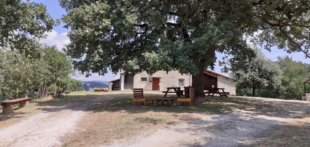 Casale Al Lago Con Piscina E Sauna Corbara  Exteriér fotografie