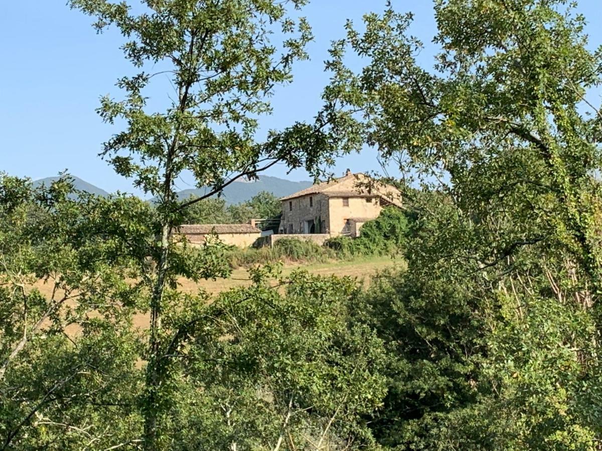 Casale Al Lago Con Piscina E Sauna Corbara  Exteriér fotografie