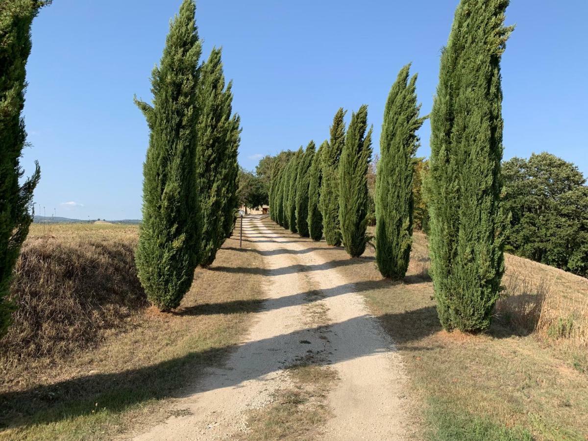 Casale Al Lago Con Piscina E Sauna Corbara  Exteriér fotografie