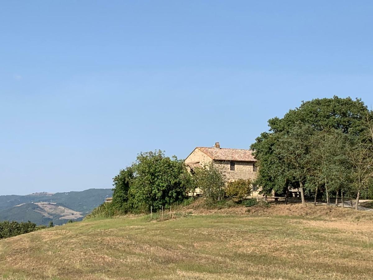 Casale Al Lago Con Piscina E Sauna Corbara  Exteriér fotografie