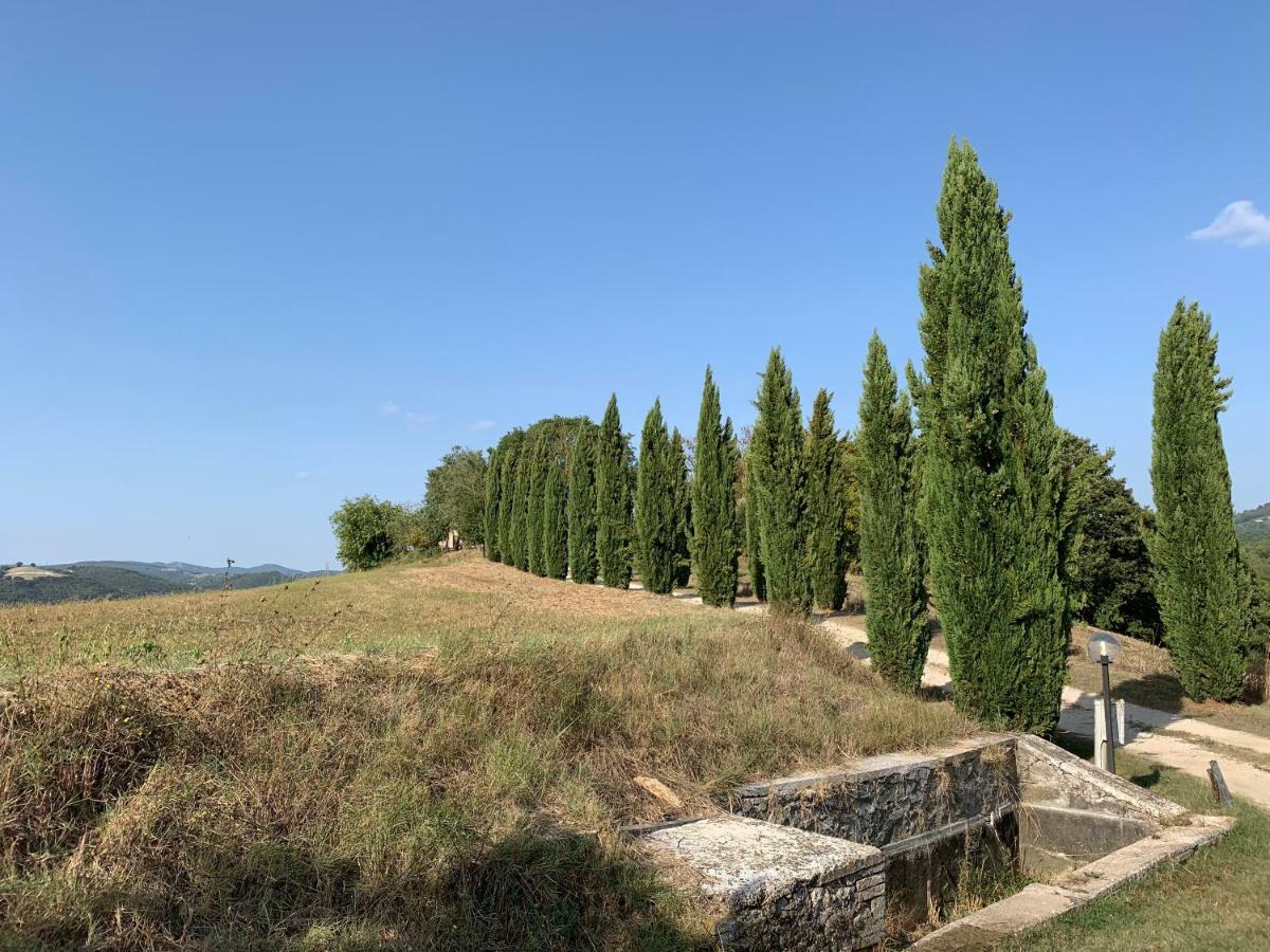 Casale Al Lago Con Piscina E Sauna Corbara  Exteriér fotografie