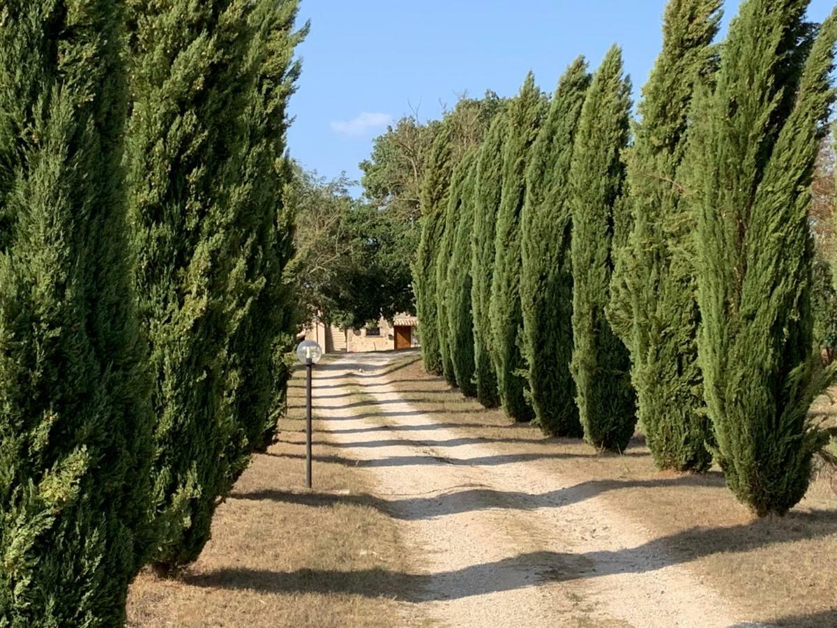 Casale Al Lago Con Piscina E Sauna Corbara  Exteriér fotografie